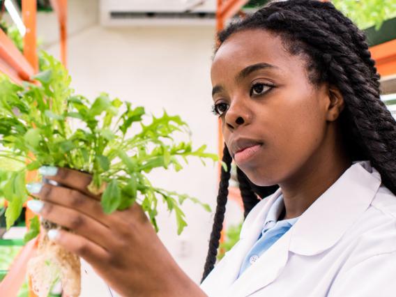 A female student studies a plant in a lab.