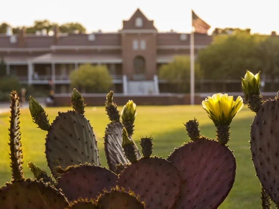 Old Main behind a foregrounded prickly pear cactus