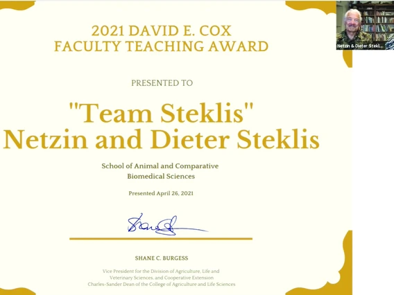 Team Steklis Award