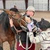 Veterinarian looks in mouth of horse