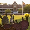 Old Main behind a foregrounded prickly pear cactus